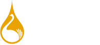 TopTruz